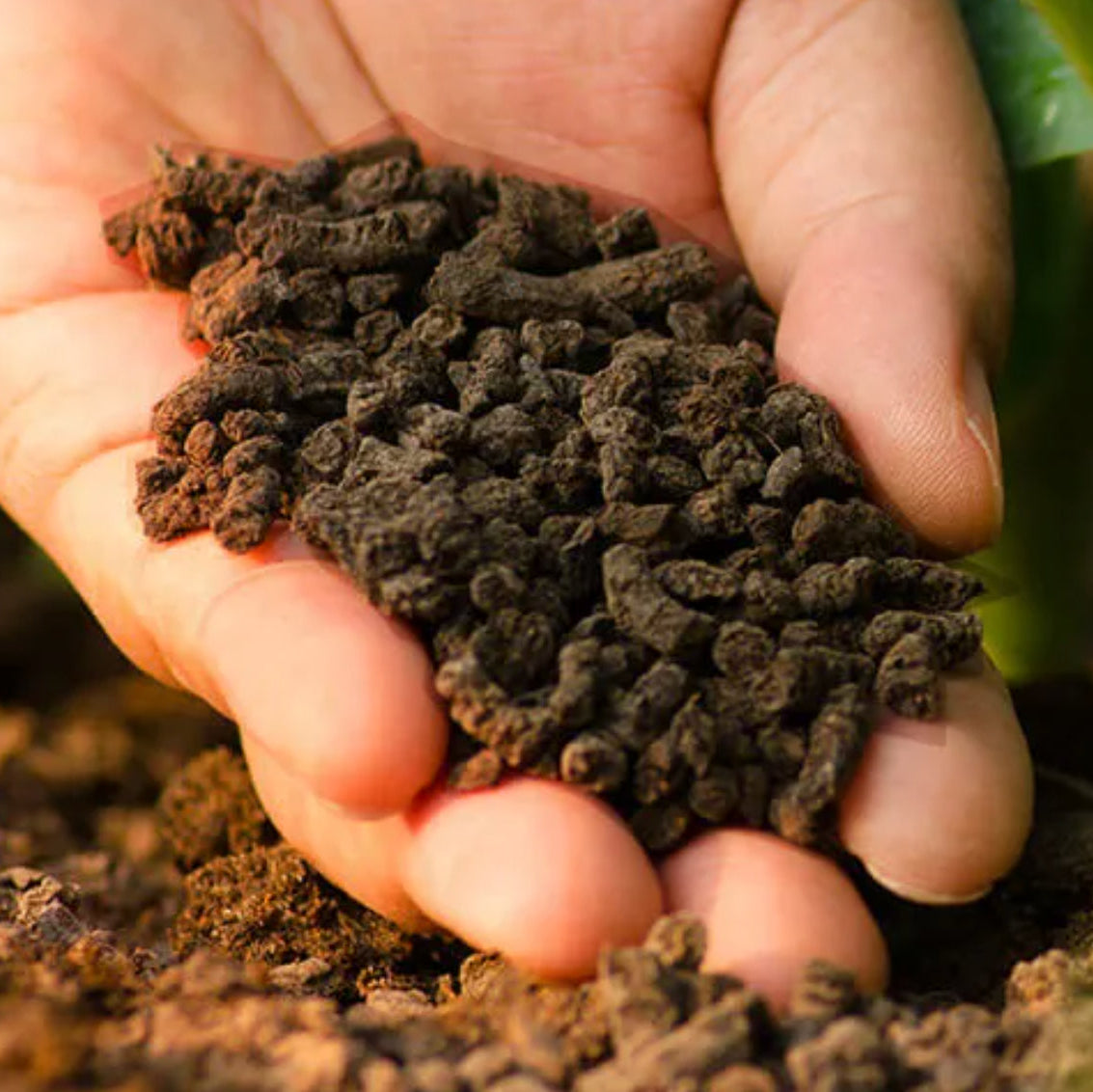 Fertiliser